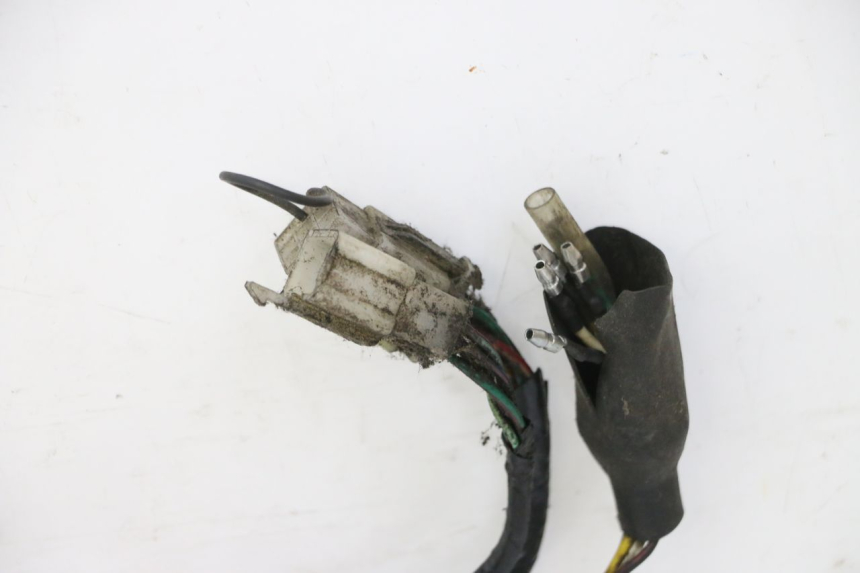 photo de KABELBAUM STAHO FH 50 (2018 - 2019)