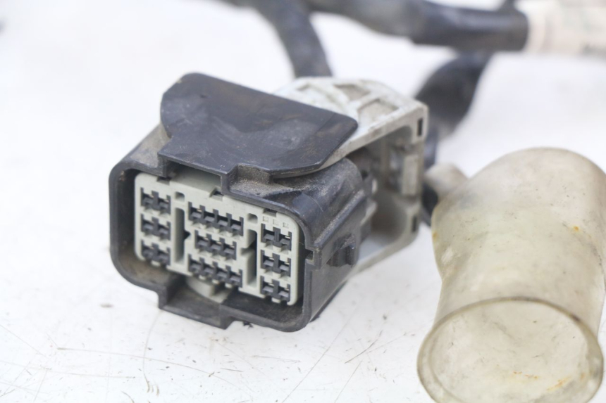 photo de KABELBAUM HONDA FORZA 125 (2015 - 2016)