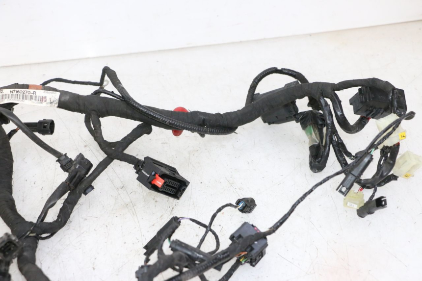 photo de KABELBAUM BMW G310 R 310 (2016 - 2020)