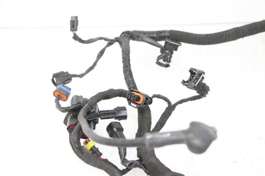 photo de KABELBAUM BMW G310 R 310 (2016 - 2020)