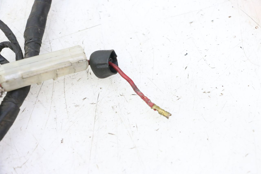 photo de KABELBAUM DAELIM HISTORY 125 (2001 - 2002)