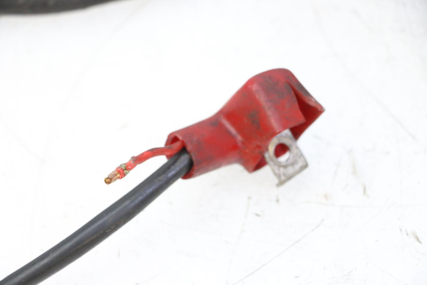 photo de KABELBAUM DAELIM HISTORY 125 (2001 - 2002)