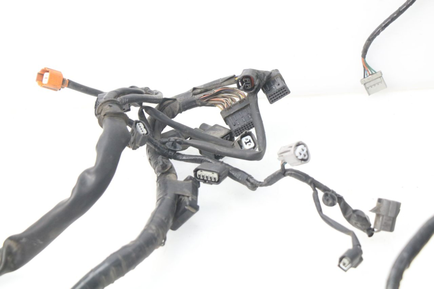 photo de KABELBAUM HONDA NSS EX FORZA 250 (2008 - 2009)