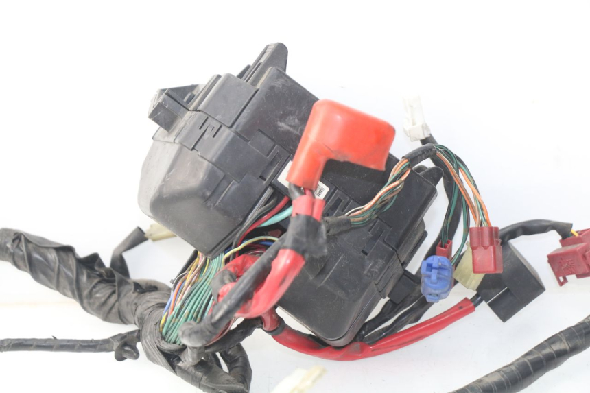photo de KABELBAUM HONDA NSS EX FORZA 250 (2008 - 2009)