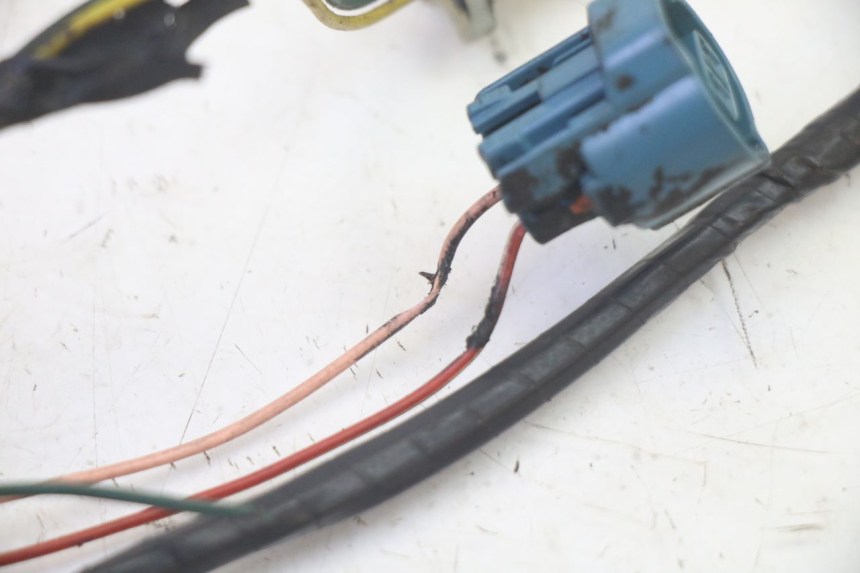 photo de KABELBAUM PEUGEOT LUDIX 50 (2008 - 2017) - Technische Nahaufnahme