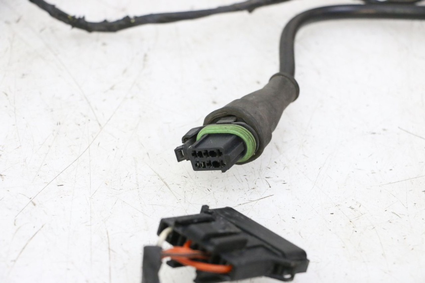 photo de KABELBAUM PIAGGIO LXV 4T 50 (2009 - 2013)