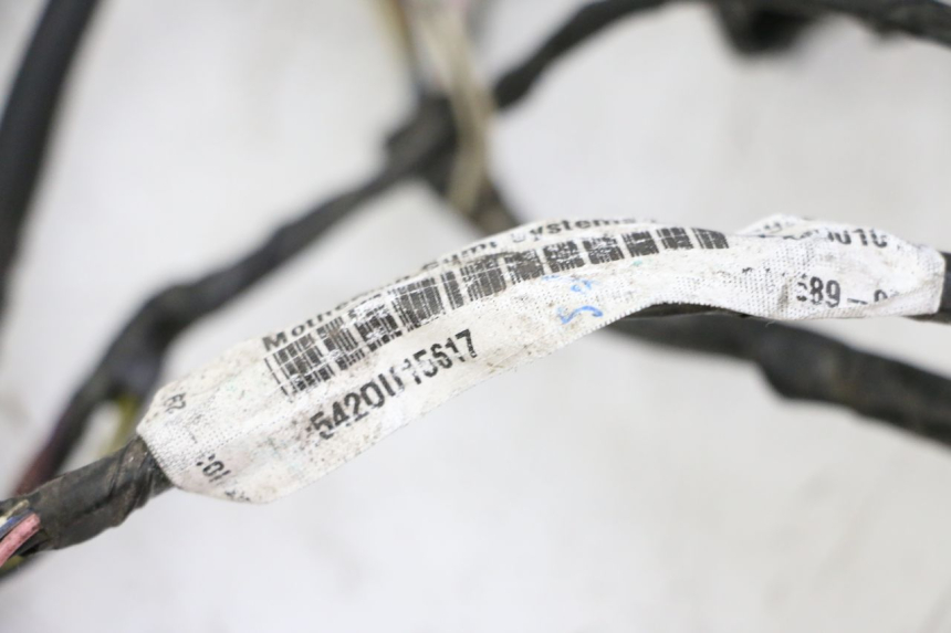 photo de KABELBAUM PIAGGIO LXV 4T 50 (2009 - 2013)