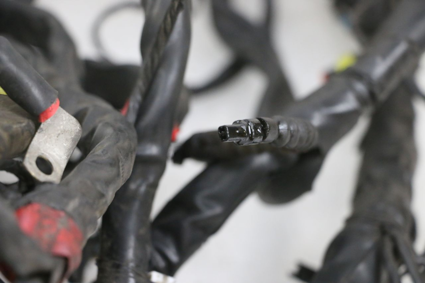 photo de KABELBAUM PIAGGIO MP3 RL 250 (2007 - 2010) - Detailansicht des Bauteils