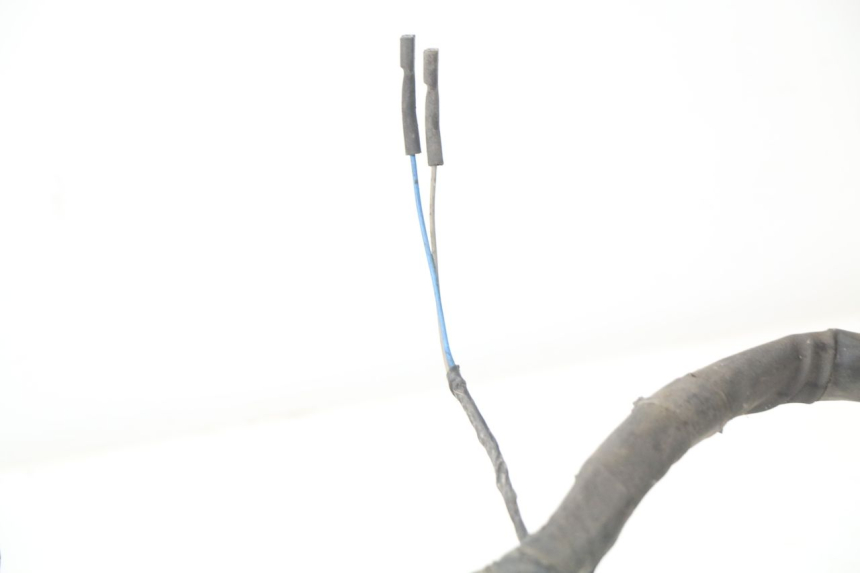 photo de KABELBAUM PIAGGIO NEW TYPHOON 50 (2010 - 2017)