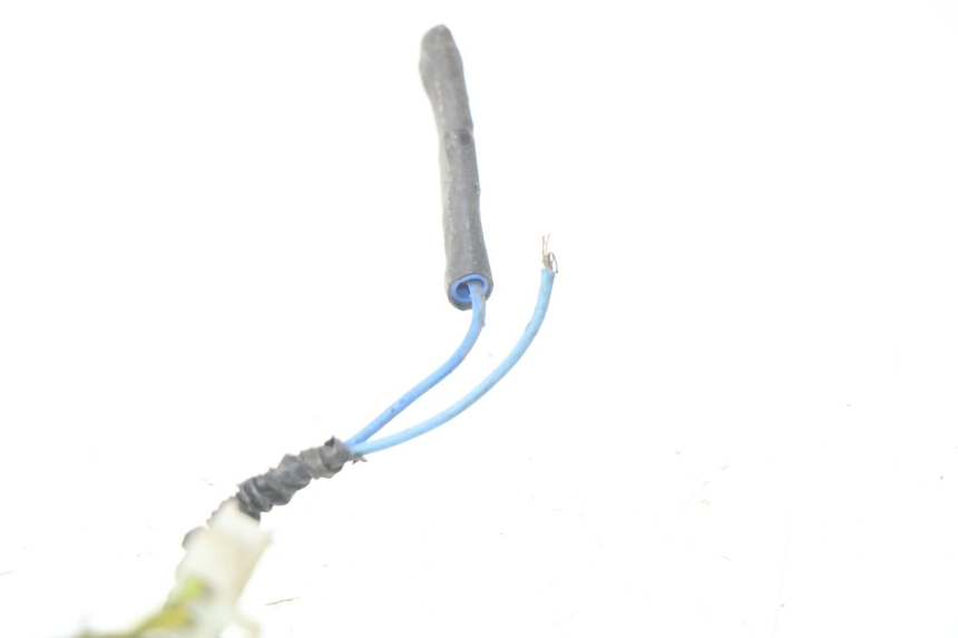 photo de KABELBAUM PIAGGIO NEW TYPHOON 50 (2010 - 2017)