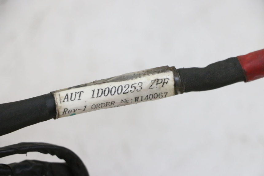 photo de KABELBAUM PIAGGIO NEW TYPHOON 50 (2010 - 2017)