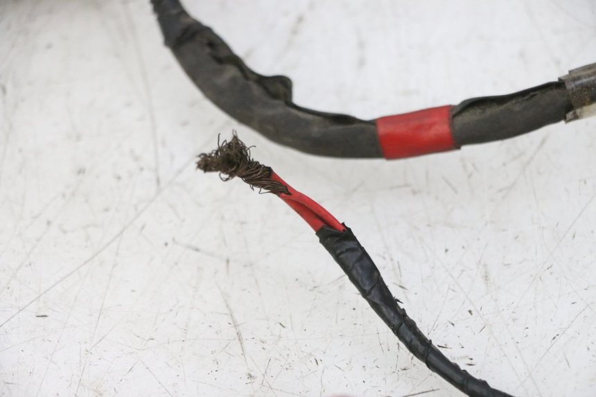 photo de KABELBAUM PIAGGIO NEW TYPHOON 50 (2010 - 2017)