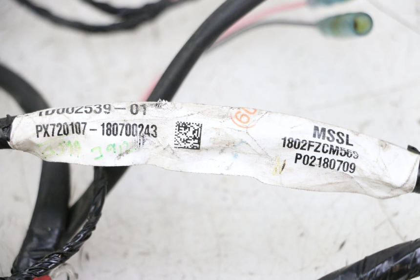 photo de KABELBAUM PIAGGIO NRG POWER PUREJET 50 (2018 - 2021)