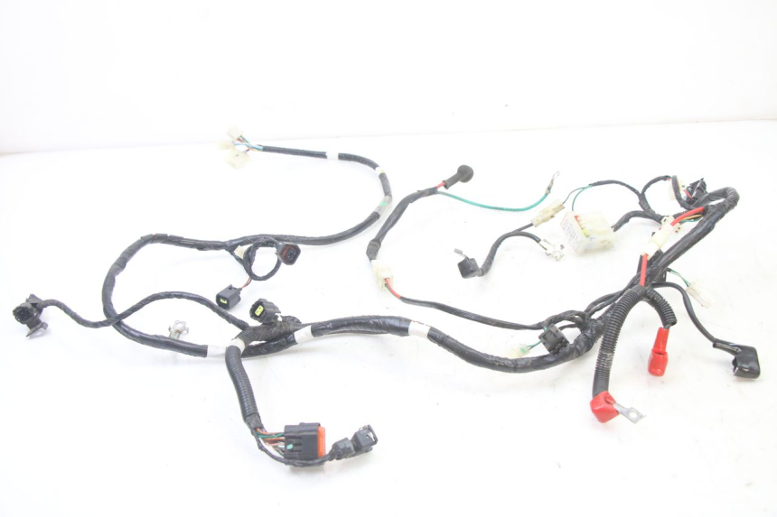 photo de KABELBAUM SYM ORBIT III 3 4T 50 (2021 - 2025)