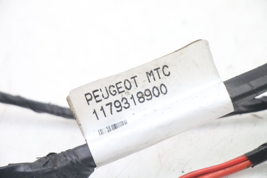 photo de KABELBAUM PEUGEOT CITYSTAR 2T 50 (2018 - 2021)