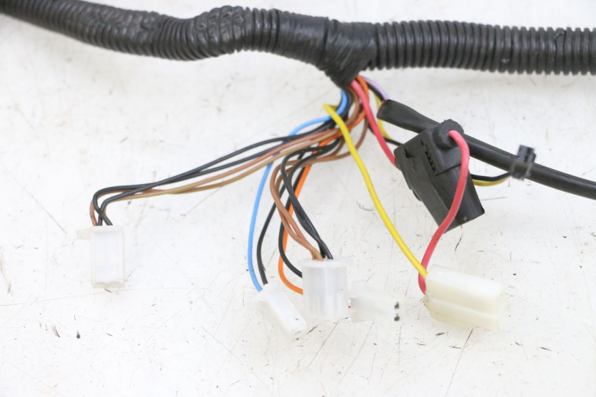 photo de KABELBAUM EFUN PUSA 1 - Zoom auf Gebrauchszustand