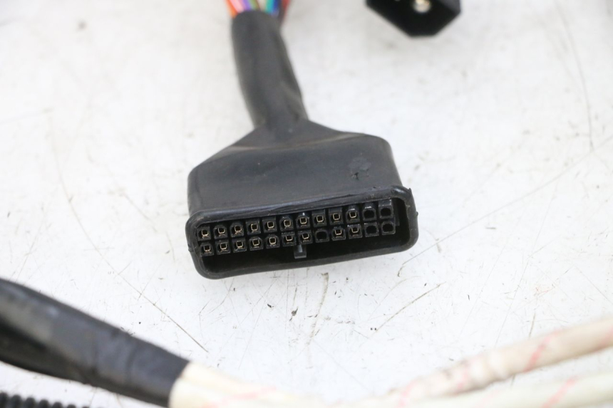 photo de KABELBAUM EFUN PUSA 1 - Gesamtansicht des Produkts