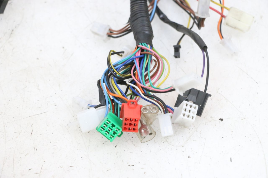 photo de KABELBAUM EFUN PUSA 1 - Details der Befestigungspunkte