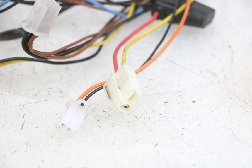 photo de KABELBAUM EFUN PUSA 1 - Kennzeichnungen und Originalreferenzen