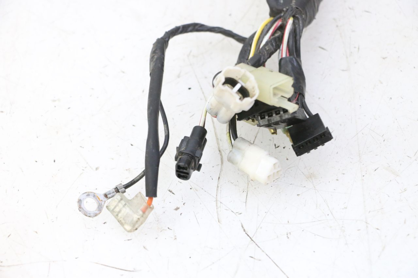photo de KABELBAUM YAMAHA PW 50 (1984 - 2020)
