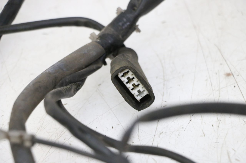 photo de KABELBAUM GILERA RUNNER SP 50 (2009 - 2017)