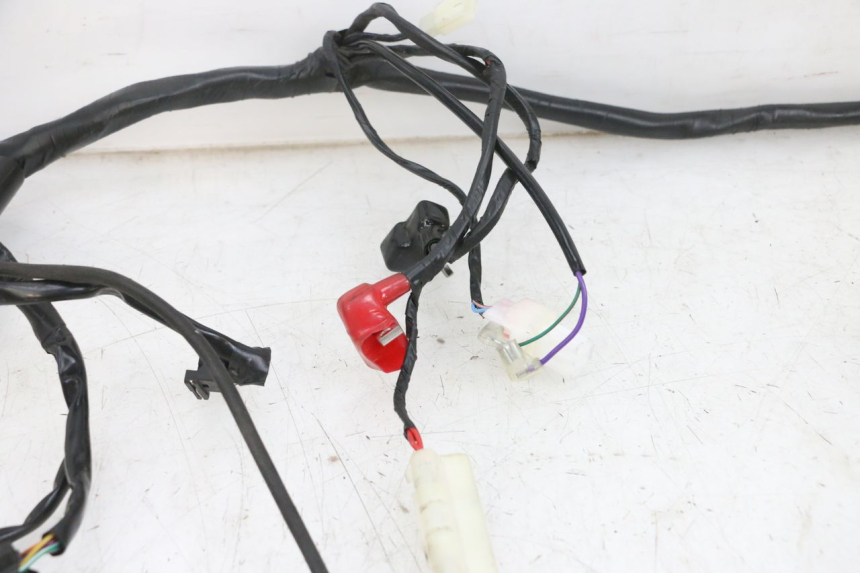 photo de KABELBAUM JM MOTORS SANTANA EVO 50 (2024 - 2026) - Zoom auf Komponenten