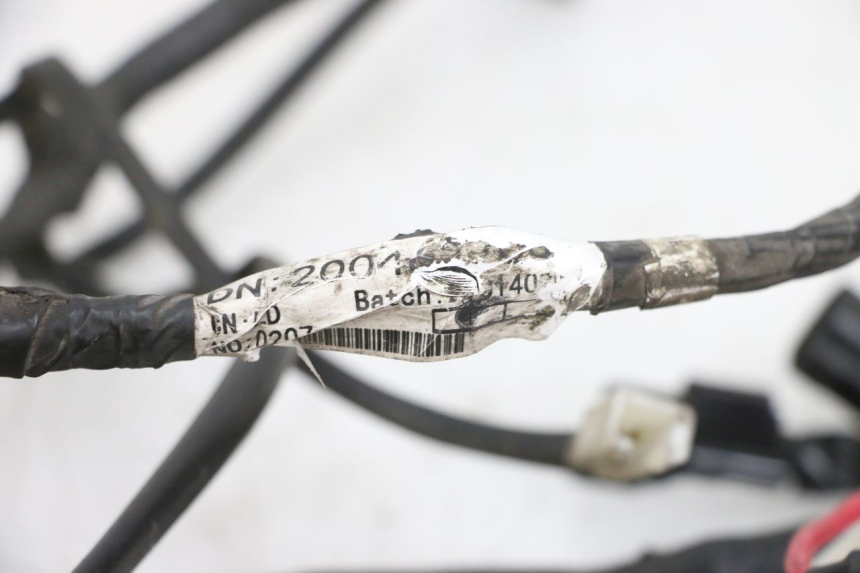 photo de KABELBAUM PEUGEOT SPEEDFIGHT 4 4T EFI 50 (2021 - 2025) - Detailansicht des Bauteils