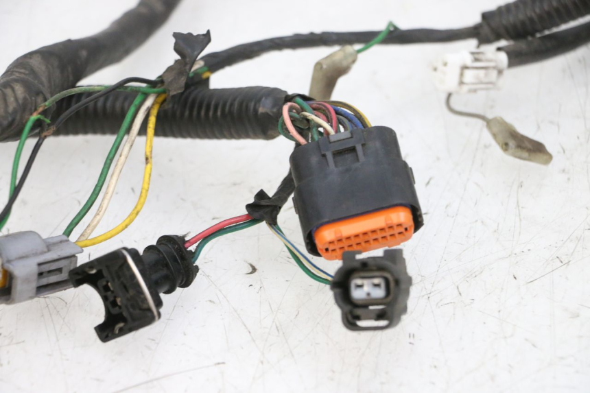 photo de KABELBAUM PEUGEOT SPEEDFIGHT 4 4T EFI 50 (2021 - 2025) - Zoom auf Komponenten