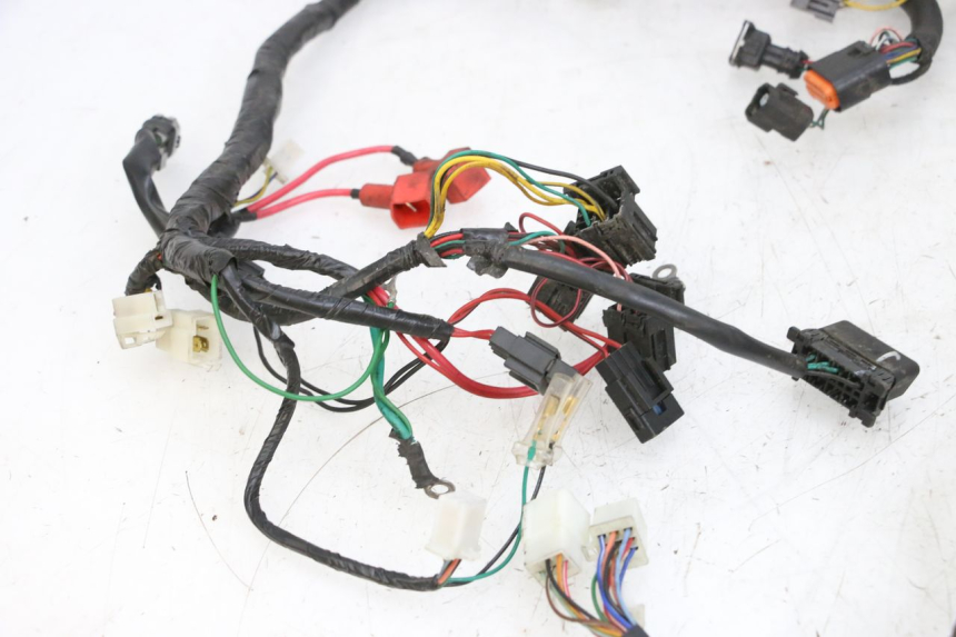 photo de KABELBAUM PEUGEOT SPEEDFIGHT 4 4T EFI 50 (2021 - 2025) - Hochauflösende Nahaufnahme