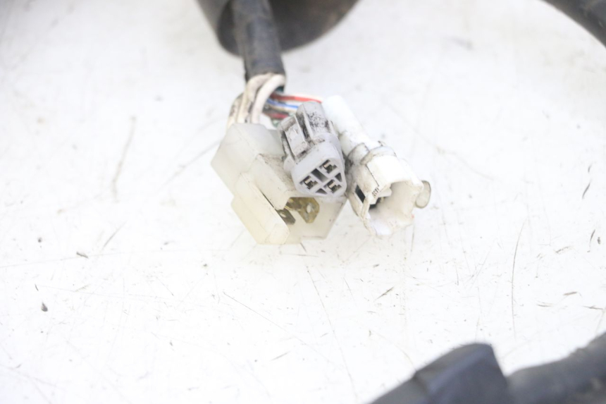 photo de KABELBAUM YAMAHA TDR DELTABOX 125 (1993 - 2003)