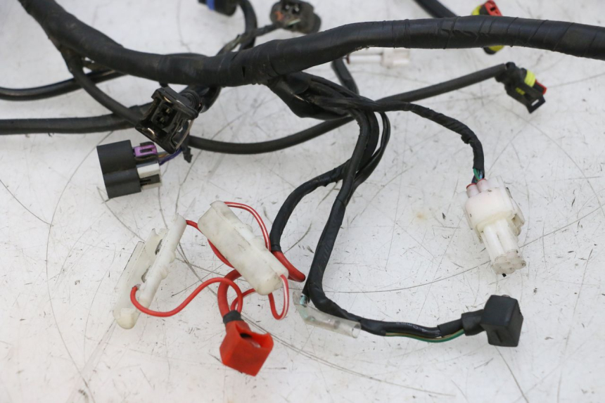 photo de KABELBAUM NECO TEMPO 4T 50 (2022 - 2026) - Gesamtansicht des Produkts