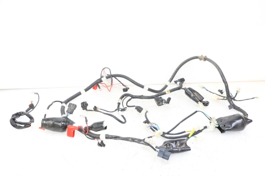 photo de KABELBAUM TNT MOTOR BOSTON 4T 50 (2018 - 2025)