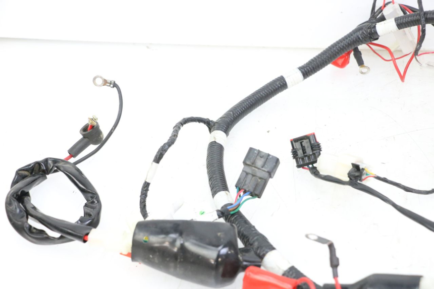 photo de KABELBAUM TNT MOTOR BOSTON 4T 50 (2018 - 2025)