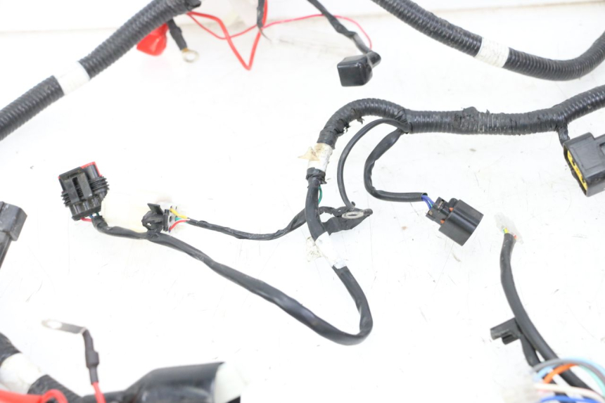 photo de KABELBAUM TNT MOTOR BOSTON 4T 50 (2018 - 2025)