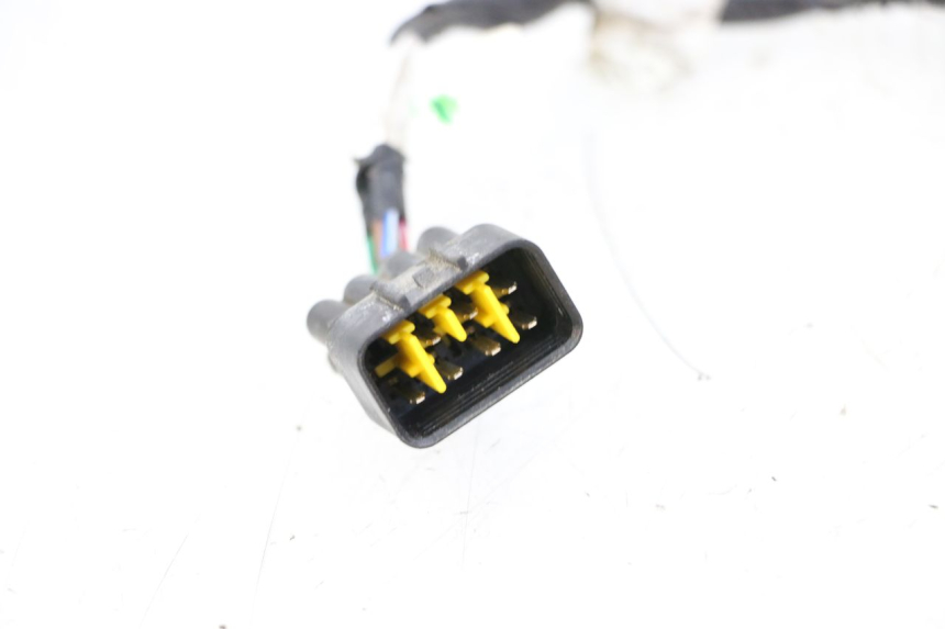 photo de KABELBAUM TNT MOTOR BOSTON 4T 50 (2018 - 2025)