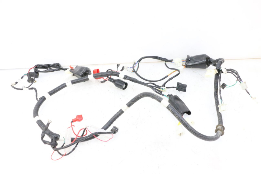 photo de KABELBAUM TNT MOTOR BOSTON 4T 50 (2018 - 2025)