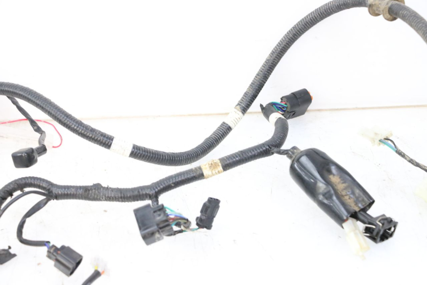 photo de KABELBAUM TNT MOTOR BOSTON 4T 50 (2018 - 2025)