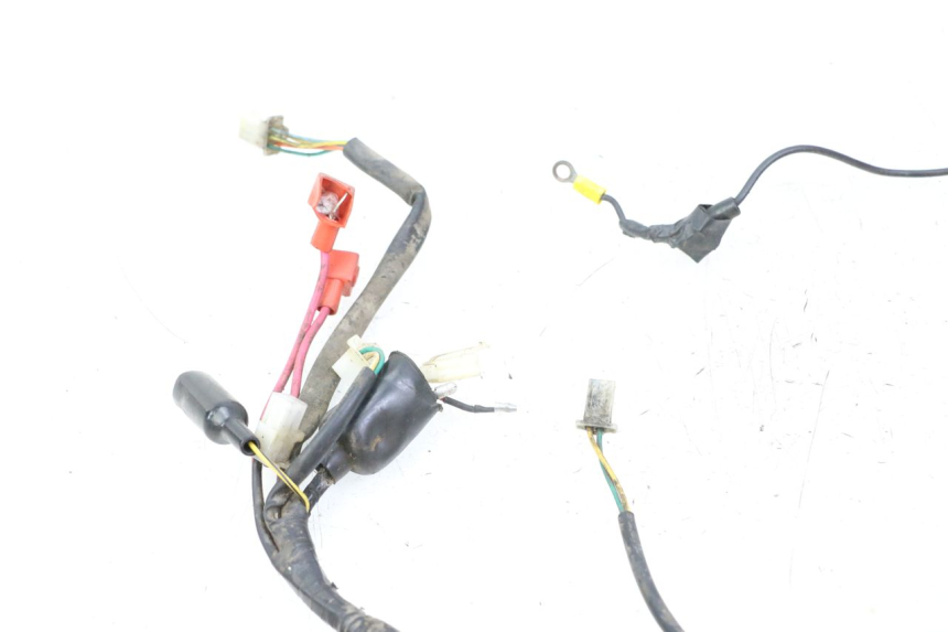 photo de KABELBAUM TNT MOTOR ROMA 10' 2T 50 (2011 - 2018)