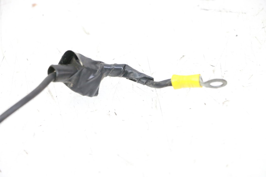 photo de KABELBAUM TNT MOTOR ROMA 10' 2T 50 (2011 - 2018)