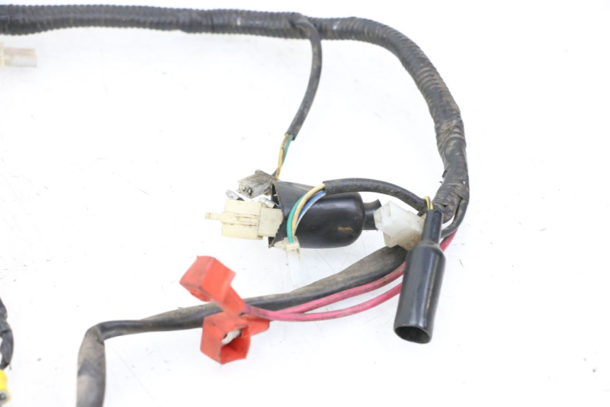 photo de KABELBAUM TNT MOTOR ROMA 10' 2T 50 (2011 - 2018)