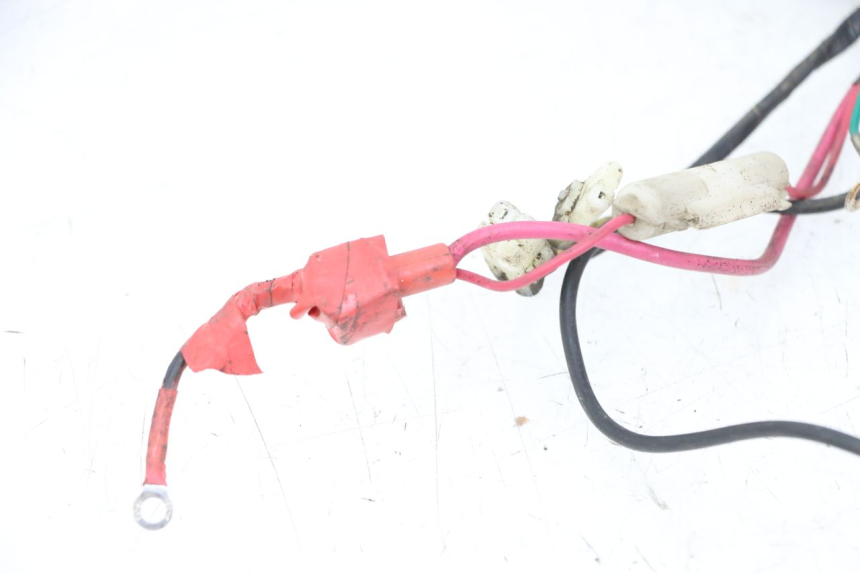 photo de KABELBAUM TNT MOTOR ROMA 10' 2T 50 (2011 - 2018)