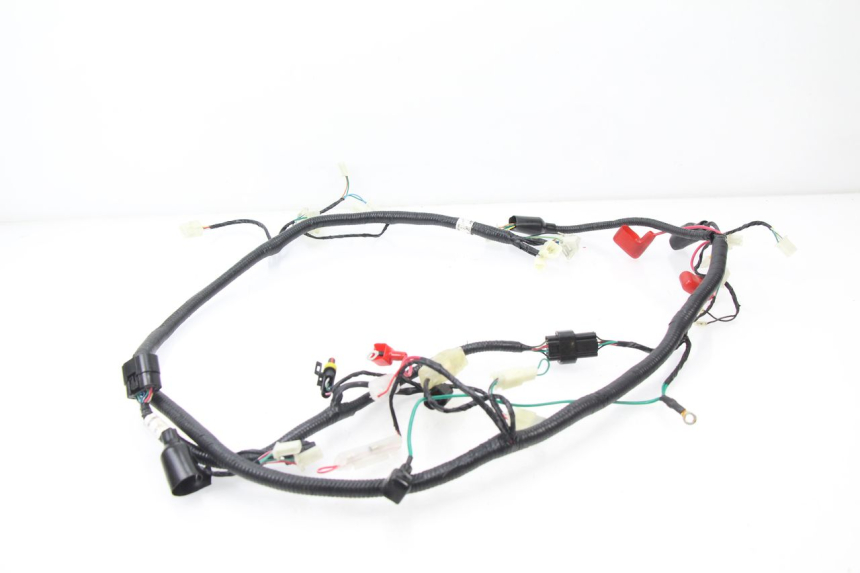 photo de KABELBAUM TNT MOTOR ROMA 10' 4T 50 (2007 - 2018)