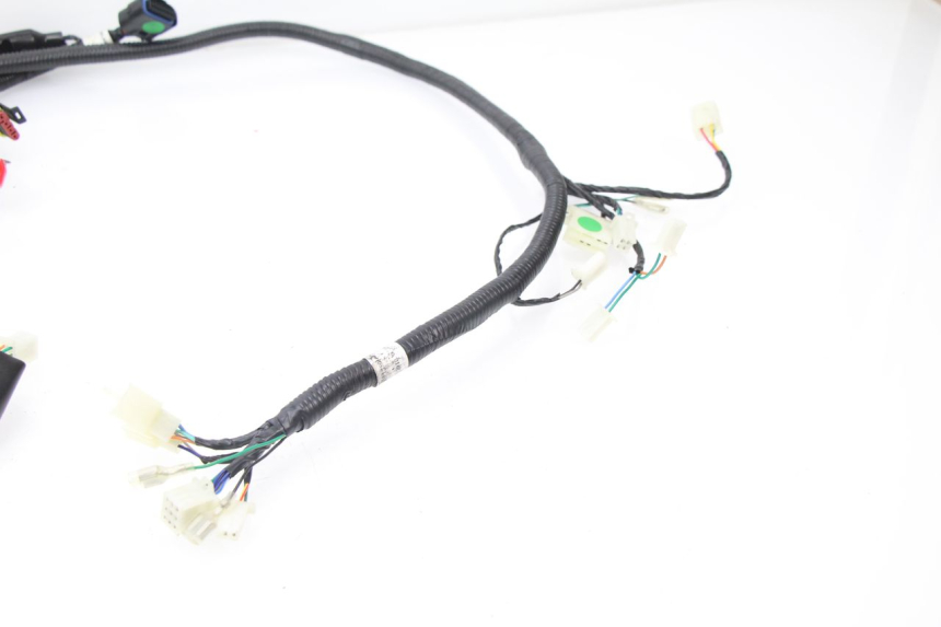 photo de KABELBAUM TNT MOTOR ROMA 10' 4T 50 (2007 - 2018)