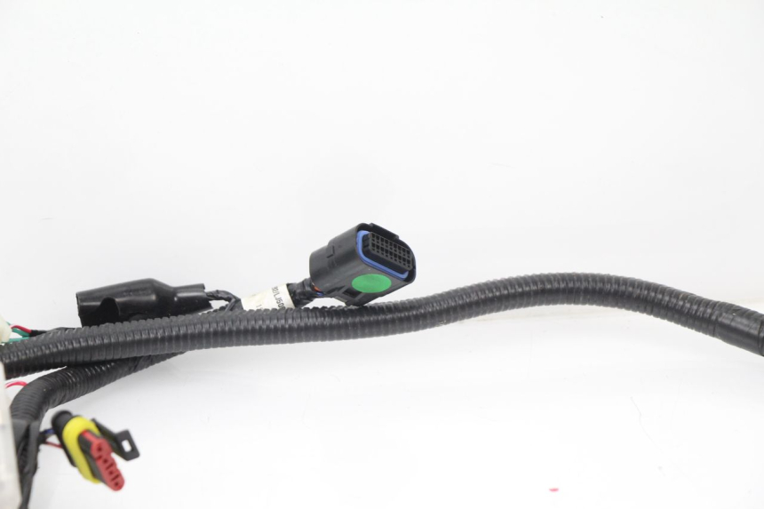 photo de KABELBAUM TNT MOTOR ROMA 10' 4T 50 (2007 - 2018)