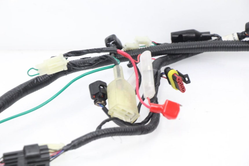 photo de KABELBAUM TNT MOTOR ROMA 10' 4T 50 (2007 - 2018)