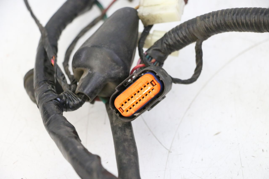 photo de KABELBAUM PEUGEOT TWEET PRO CARGO 50 (2018 - 2020)