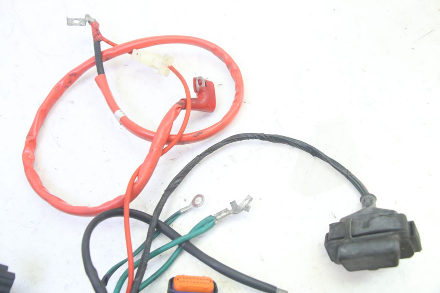 photo de KABELBAUM PEUGEOT TWEET PRO EFI 4T 50 (2021 - 2022)