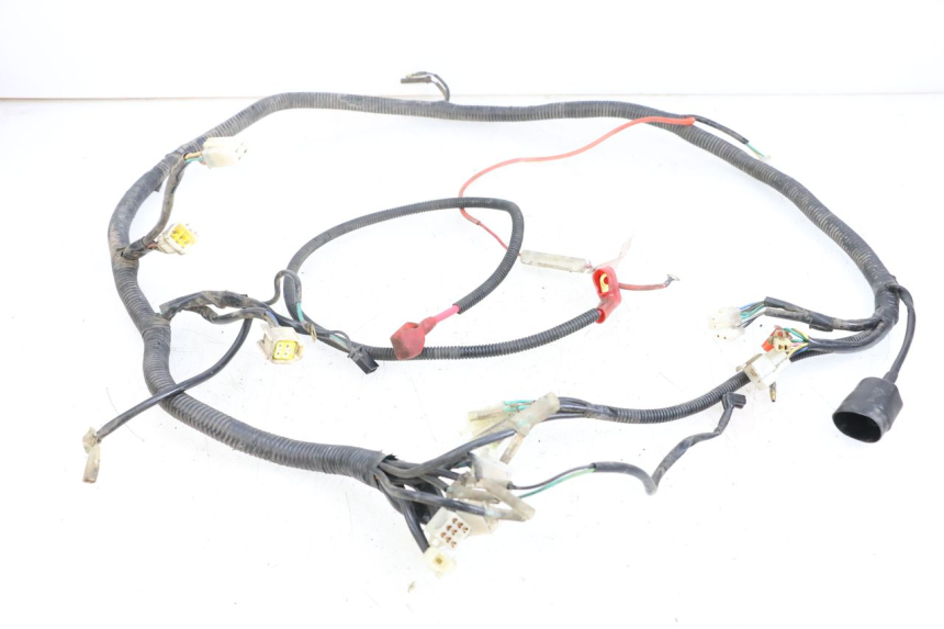 photo de KABELBAUM BEELINE VELOCE 4T 50 (2011 - 2020)