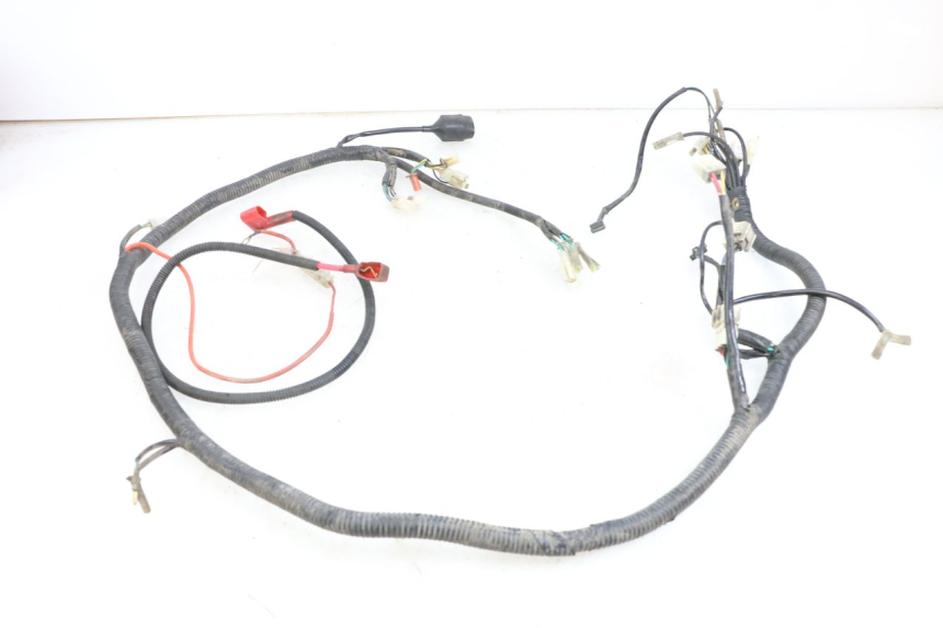 photo de KABELBAUM BEELINE VELOCE 4T 50 (2011 - 2020)