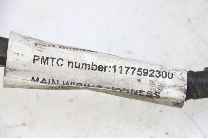 photo de KABELBAUM PEUGEOT VIVACITY NEW 4T 50 (2008 - 2017)